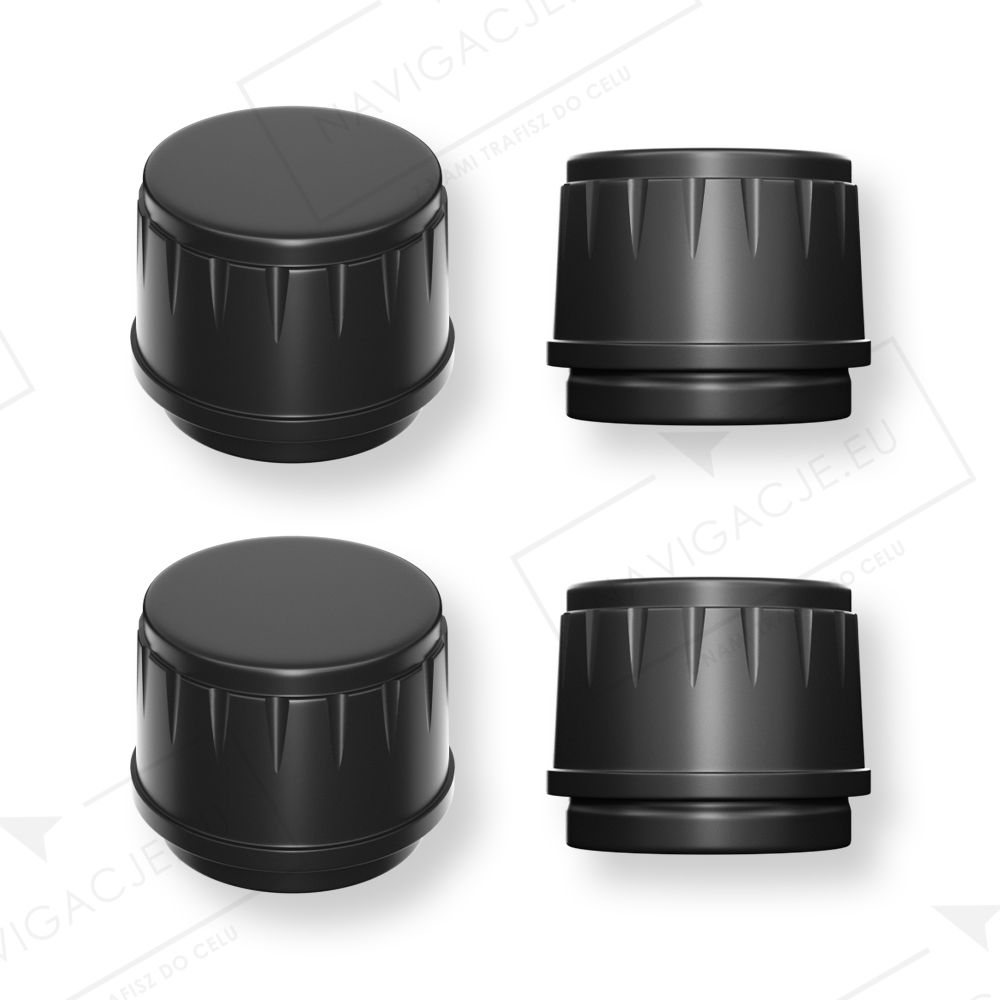 tpms10.png